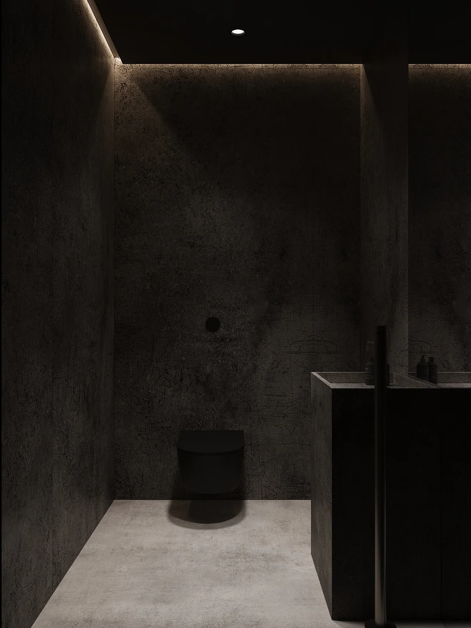 Ash grey - dom dąbrowa Tarnowska