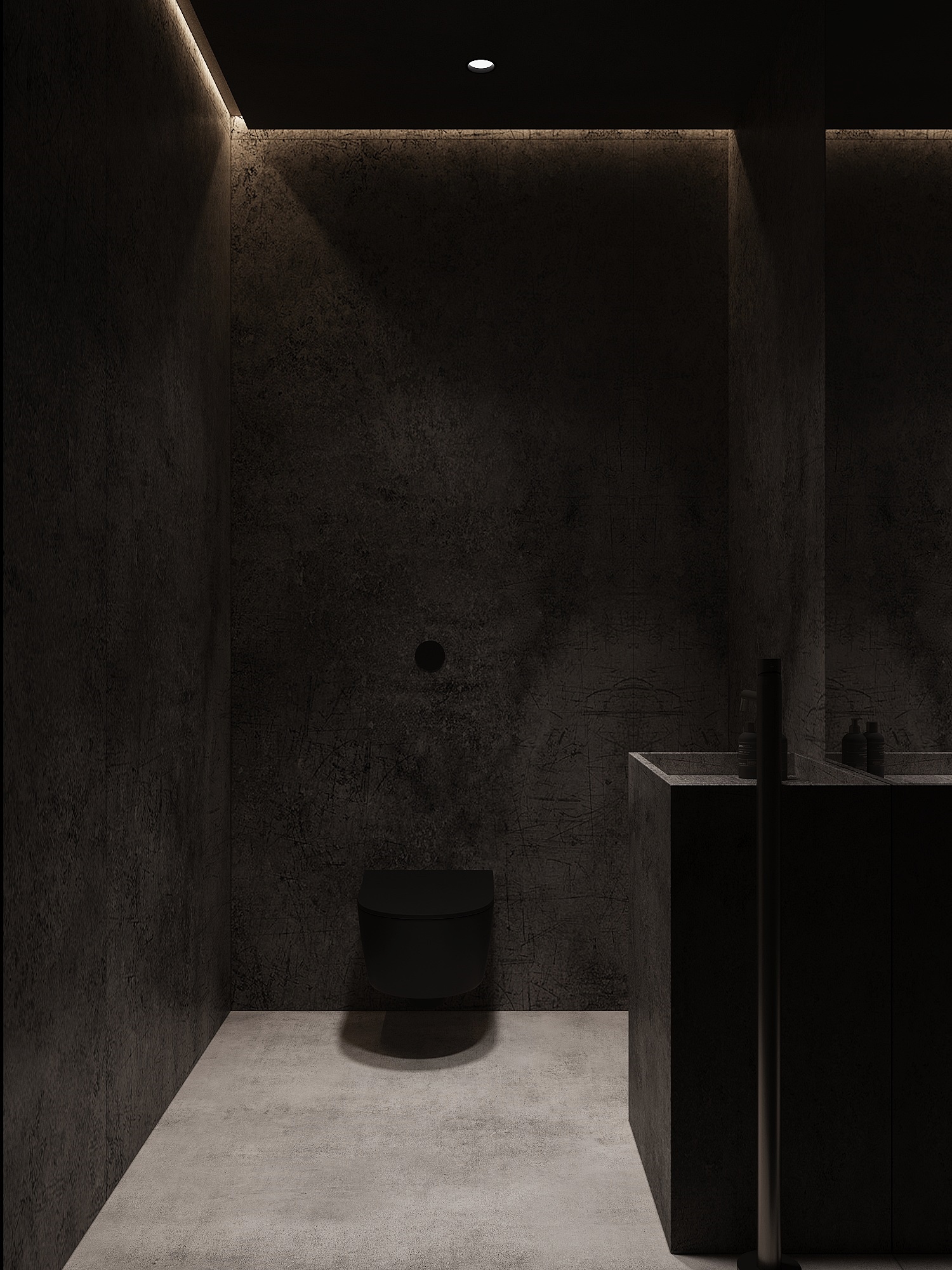 Ash grey - dom dąbrowa Tarnowska